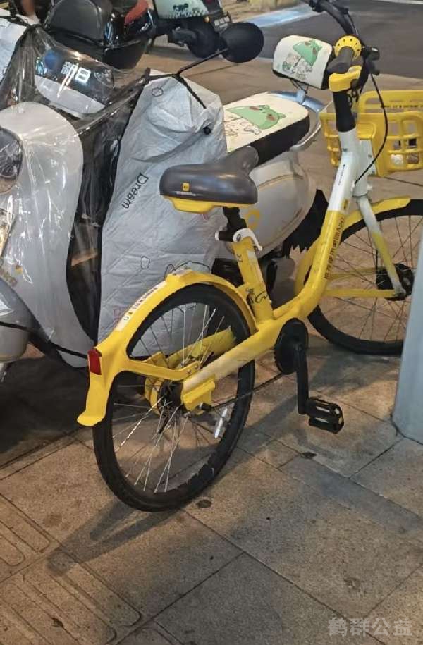 盲道问题处理后图片