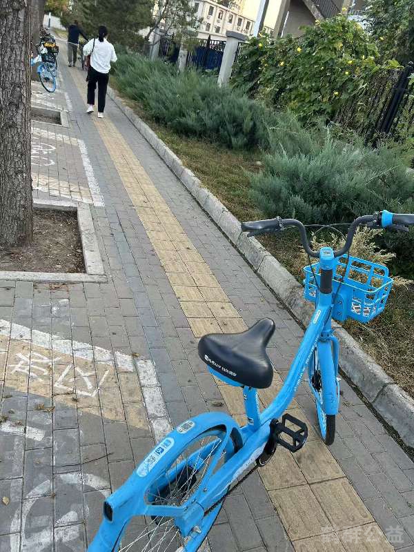 盲道问题反馈图