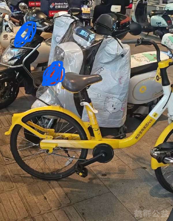 盲道问题反馈图