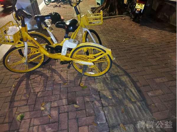 盲道问题反馈图