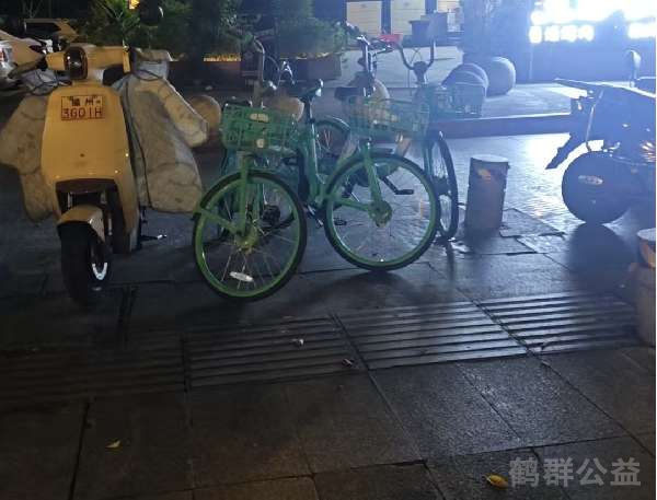 盲道问题处理后图片