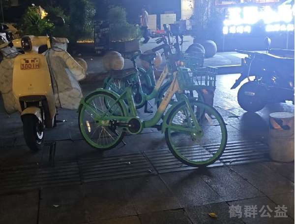 盲道问题反馈图