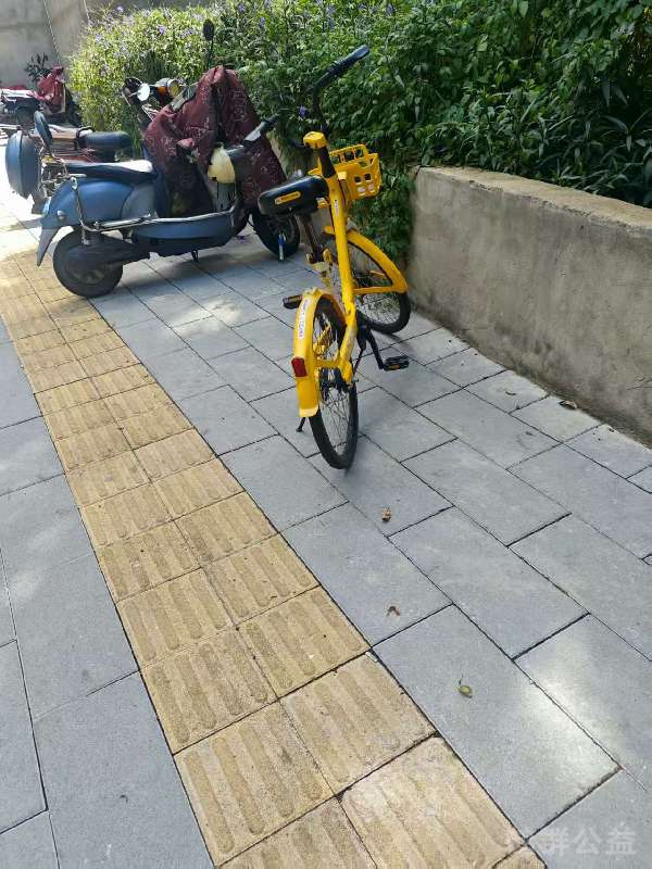 盲道问题处理后图片