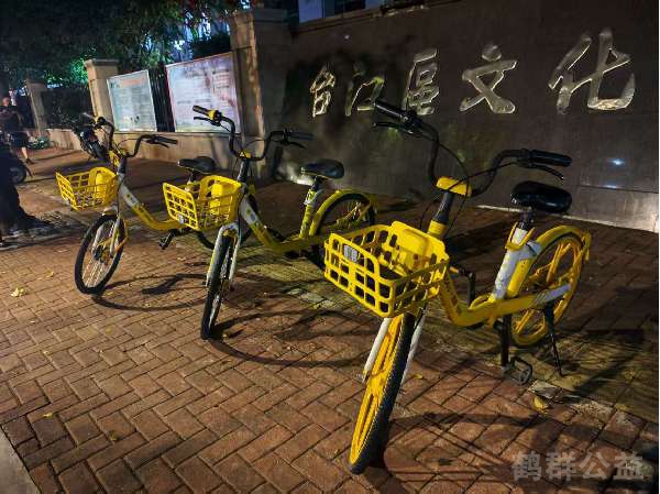 盲道问题反馈图