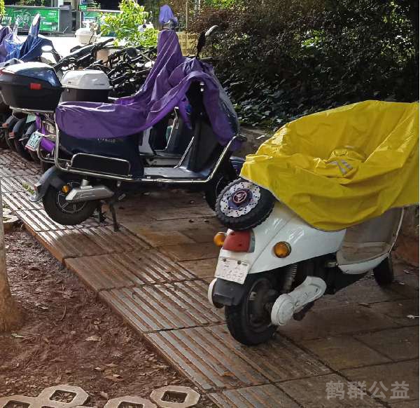 盲道问题反馈图