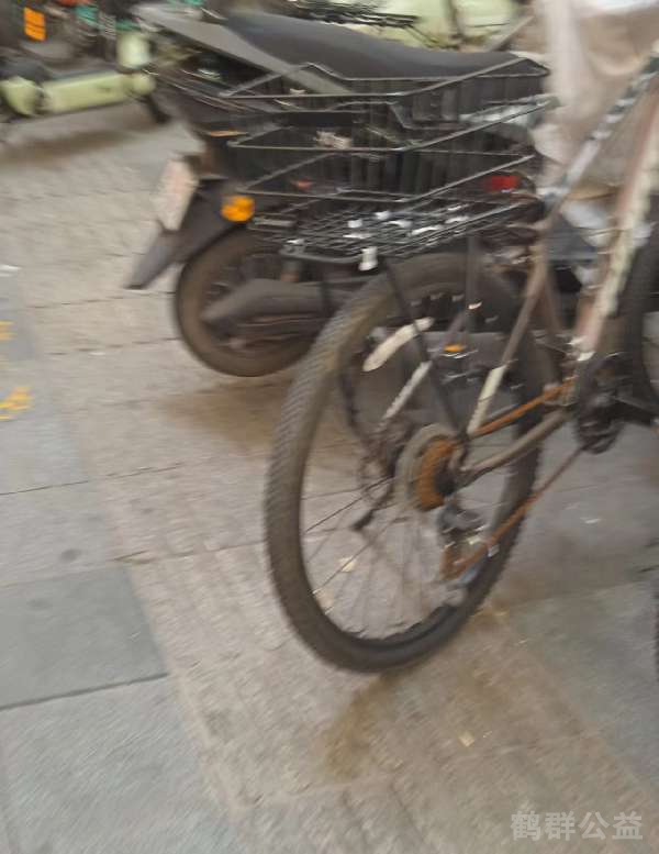 盲道问题反馈图