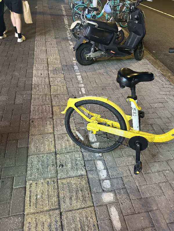 盲道问题反馈图