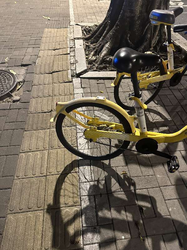 盲道问题反馈图