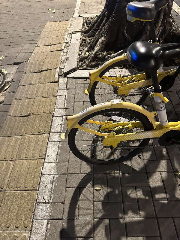 盲道问题处理后图片