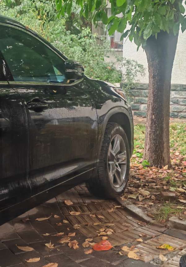 盲道问题反馈图