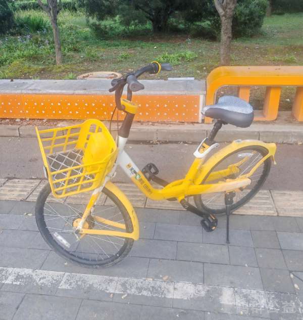 盲道问题反馈图