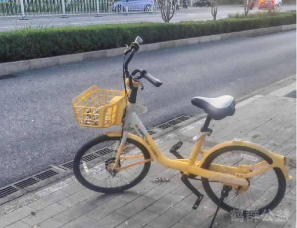 盲道问题处理后图片