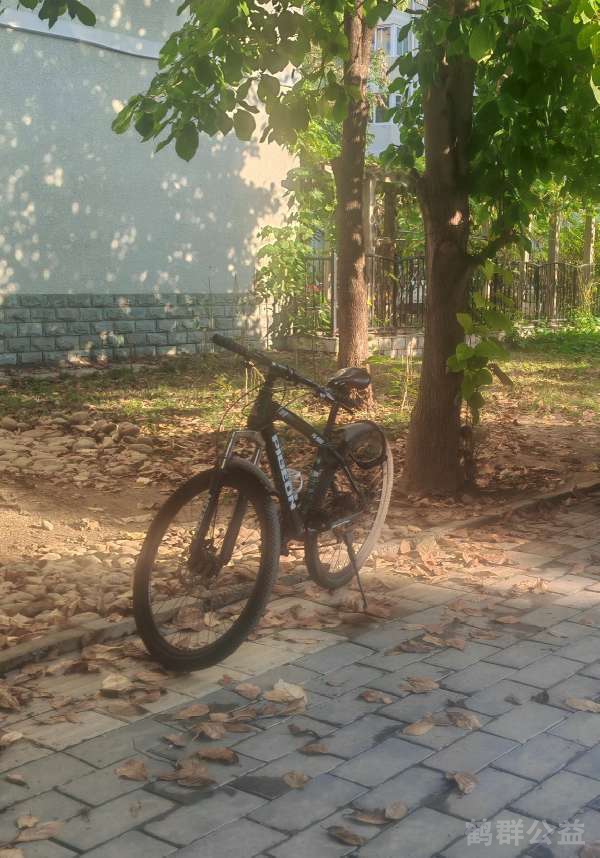 盲道问题反馈图