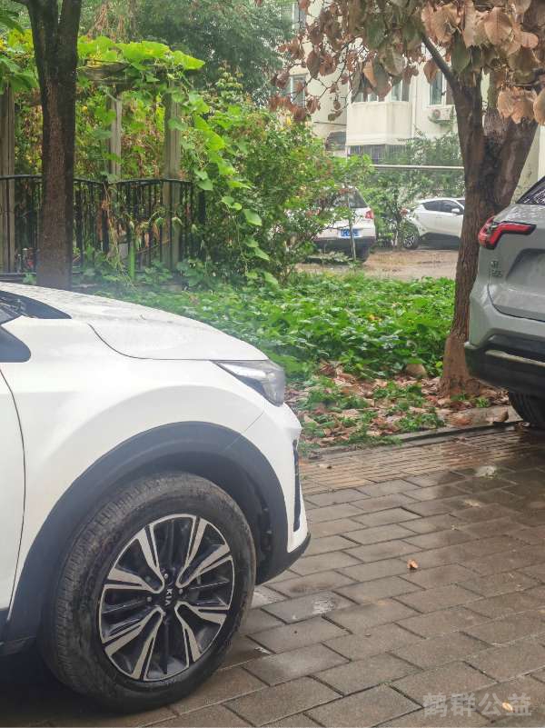 盲道问题反馈图