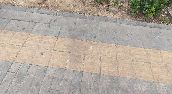 盲道问题处理后图片