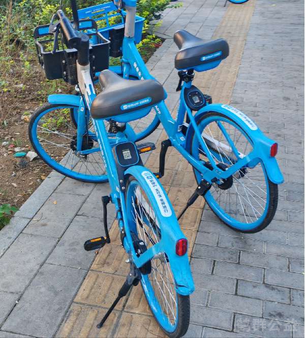 盲道问题反馈图