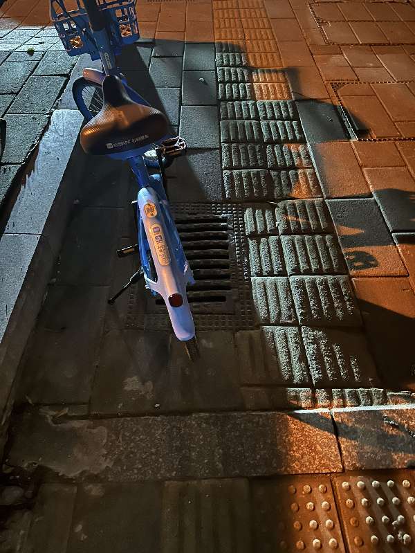 盲道问题处理后图片