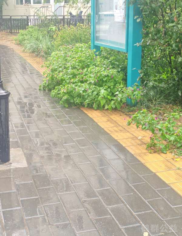 盲道问题反馈图