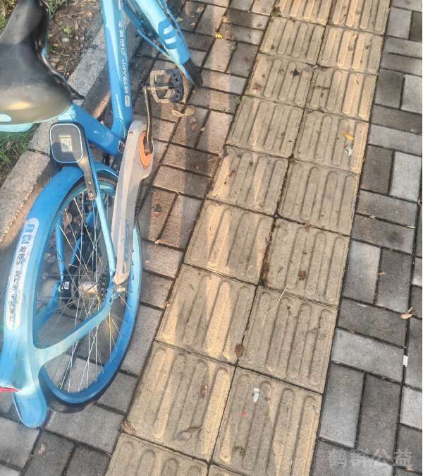 盲道问题处理后图片