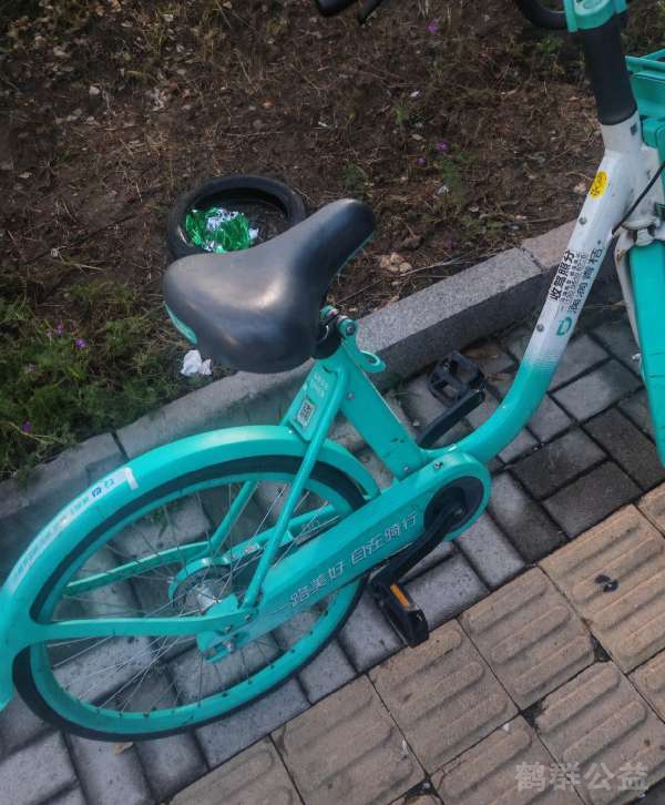 盲道问题处理后图片