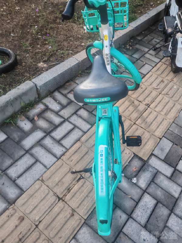 盲道问题反馈图