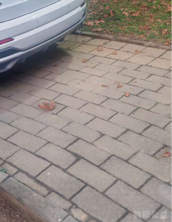 盲道问题反馈图