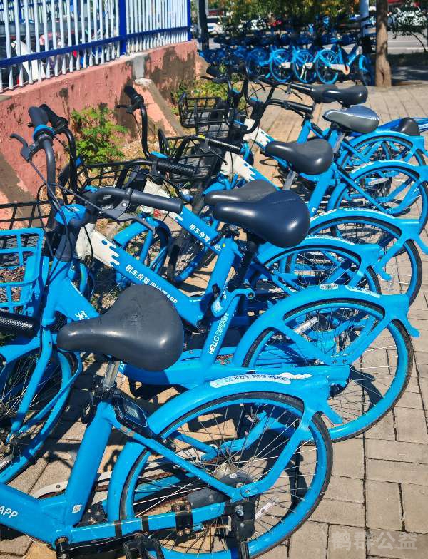 盲道问题反馈图