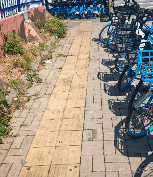 盲道问题处理后图片