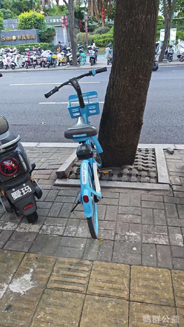 盲道问题处理后图片