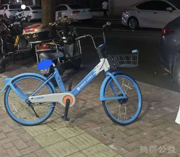 盲道问题反馈图