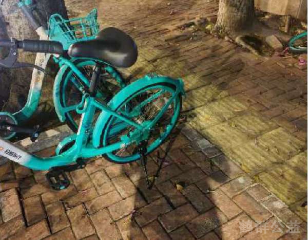 盲道问题处理后图片