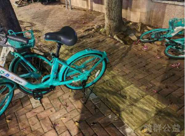 盲道问题反馈图