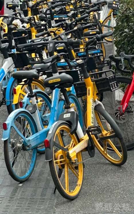 盲道问题反馈图