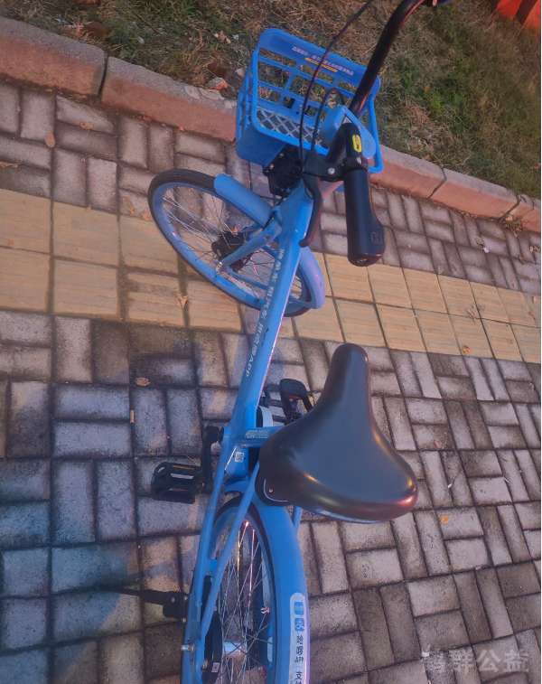 盲道问题反馈图