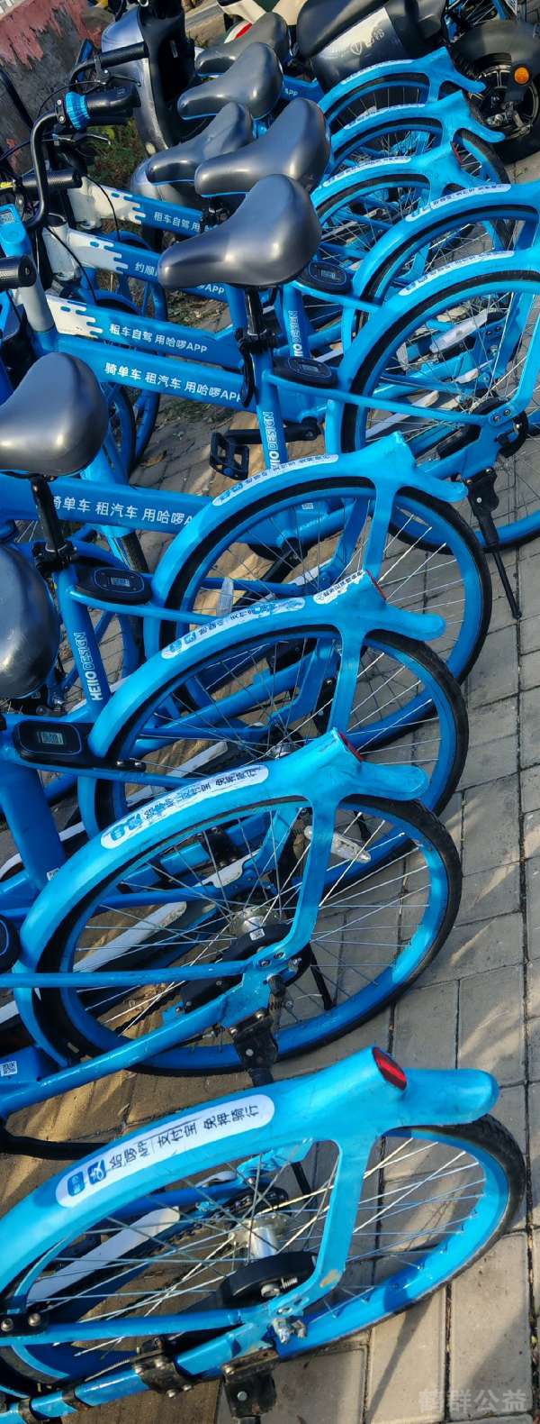 盲道问题反馈图