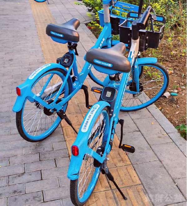 盲道问题反馈图