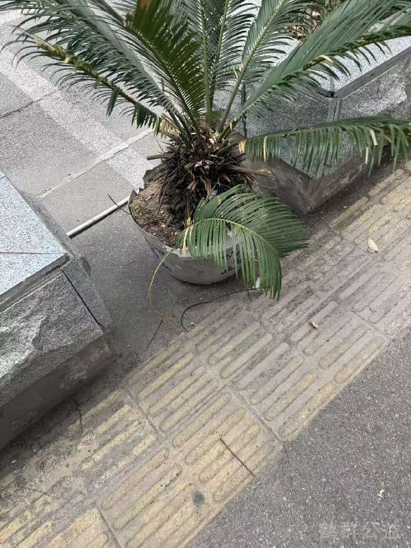 盲道问题反馈图