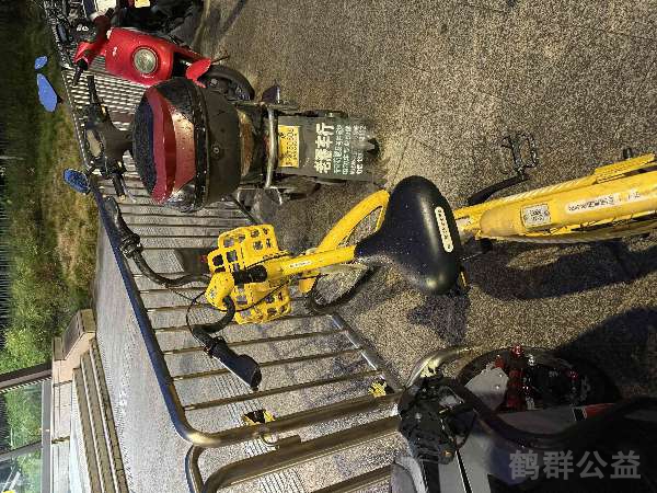 盲道问题处理后图片