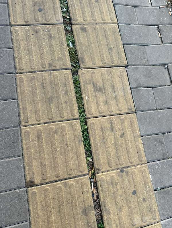 盲道问题处理后图片