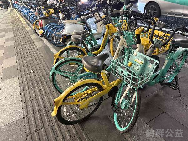 盲道问题反馈图