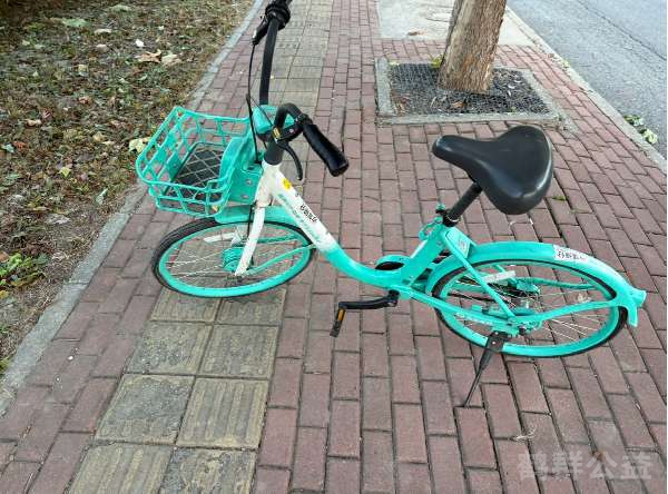 盲道问题处理后图片