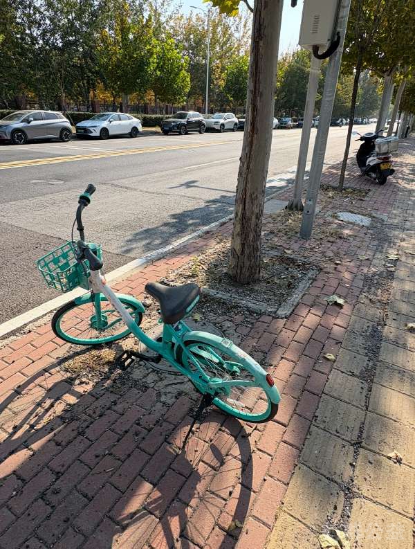 盲道问题处理后图片