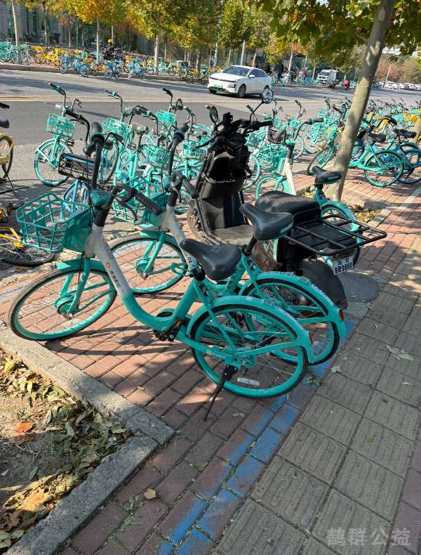 盲道问题处理后图片