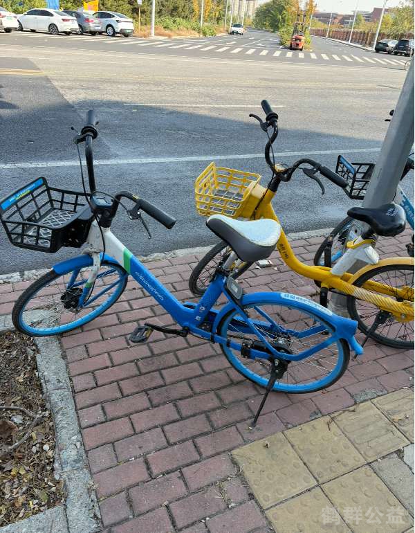 盲道问题处理后图片