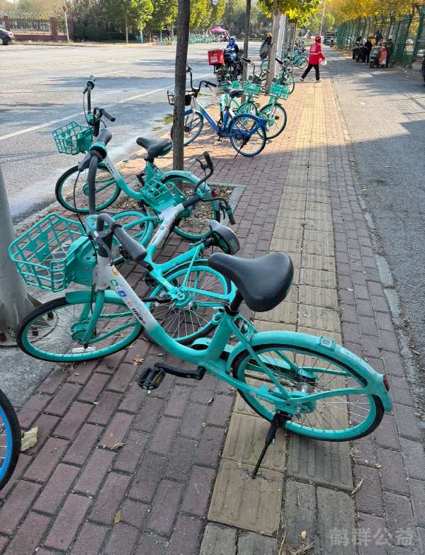 盲道问题反馈图