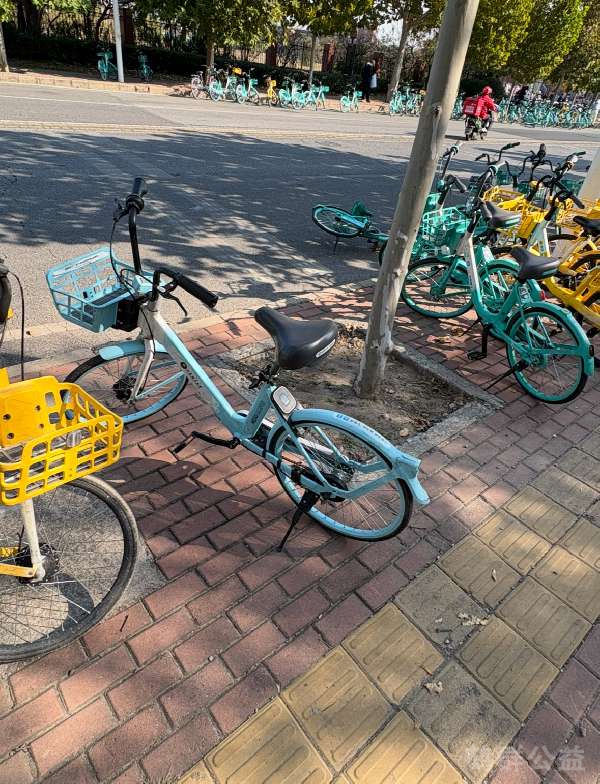 盲道问题处理后图片