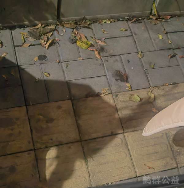 盲道问题处理后图片