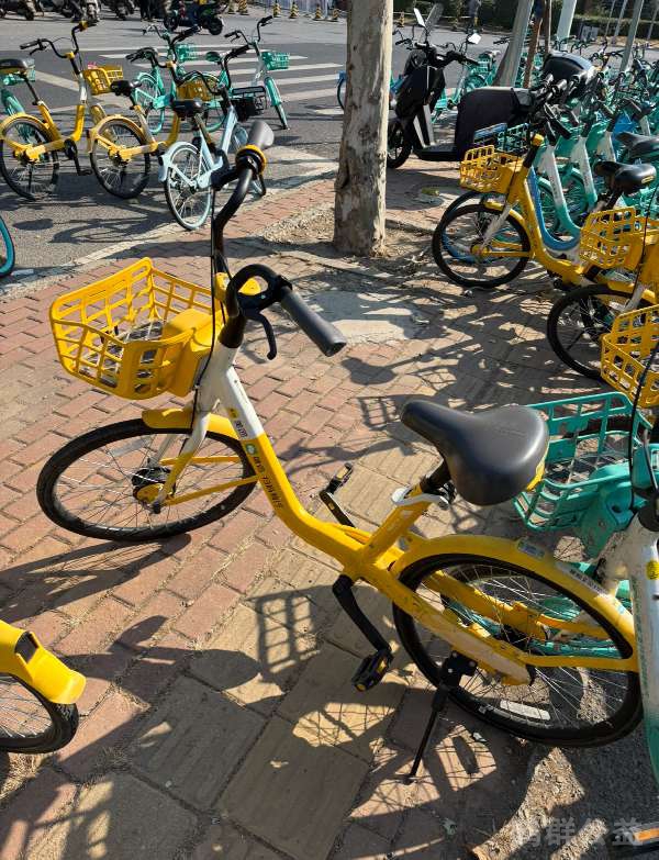 盲道问题反馈图