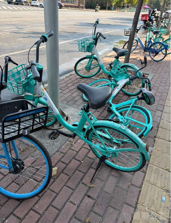 盲道问题处理后图片