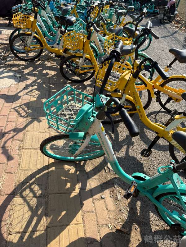 盲道问题反馈图